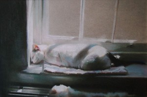 Window Sill Slumber